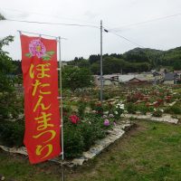 エントリ画像
