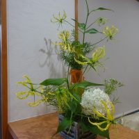 エントリ画像