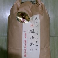 エントリ画像
